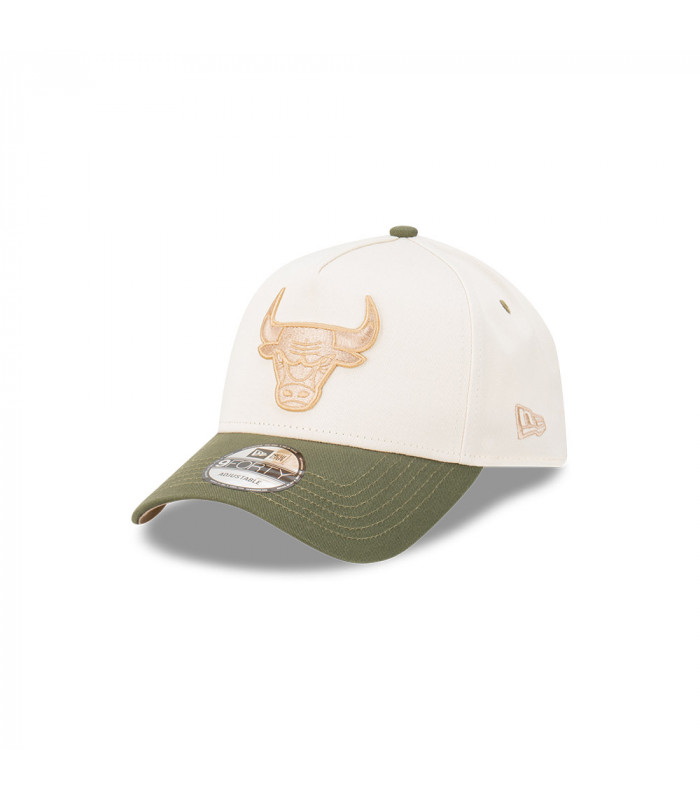 Gorra 9Forty Chicago Bulls Winecork Olive Light Beige
